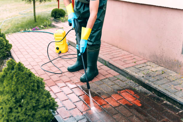 Animal Enclosure Cleaning in Annandale, NJ